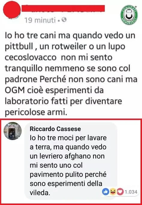 Vaccata