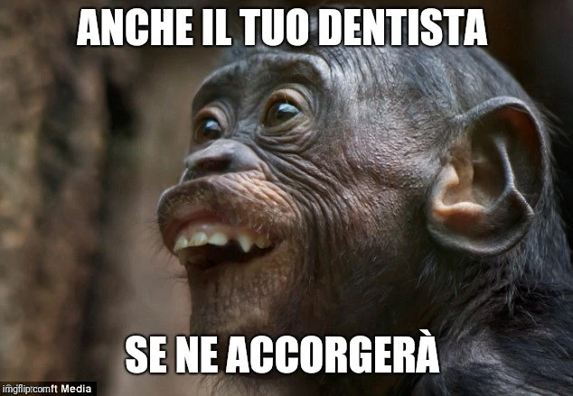 Scimmia dentona