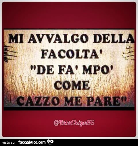 Vaccata