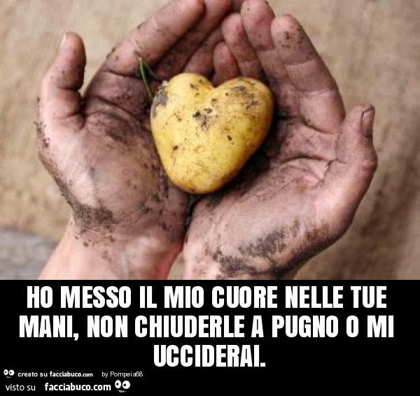 Ho messo il mio cuore nelle tue mani, non chiuderle a pugno o mi ucciderai