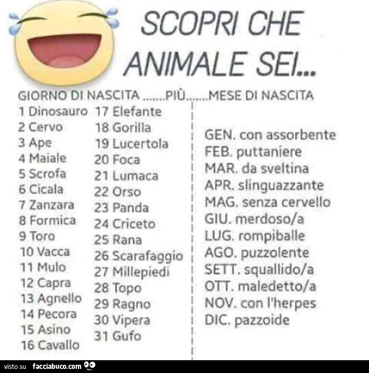 Scopri che animale sei