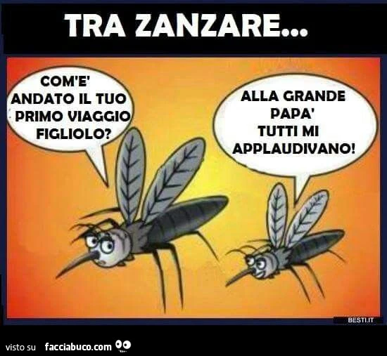 Vaccata