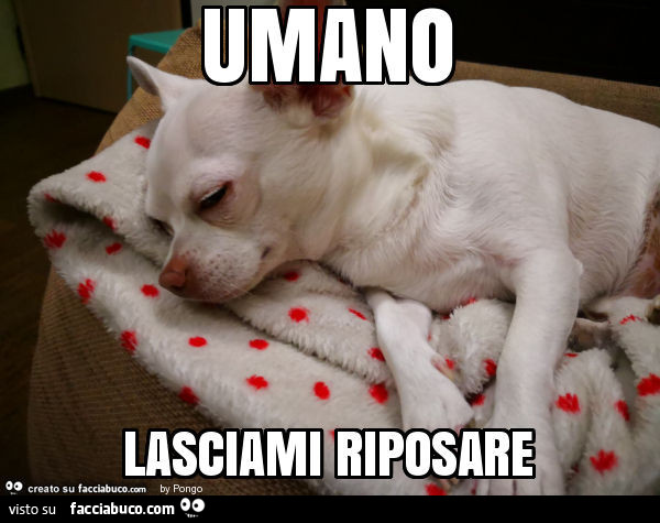 Umano lasciami riposare