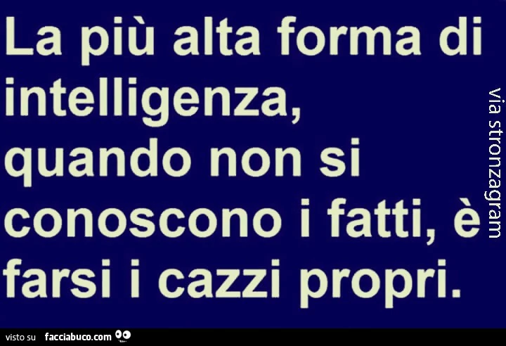 La più alta forma di intelligenza, quando non si conoscono i fatti, è farsi i cazzi propri