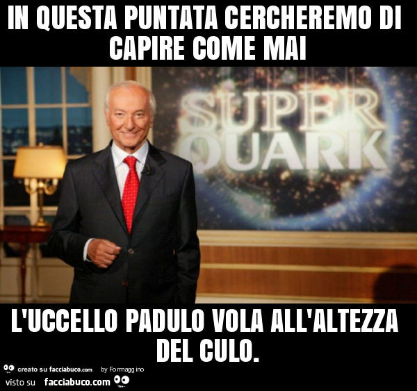 In questa puntata cercheremo di capire come mai l'uccello padulo vola all'altezza del culo
