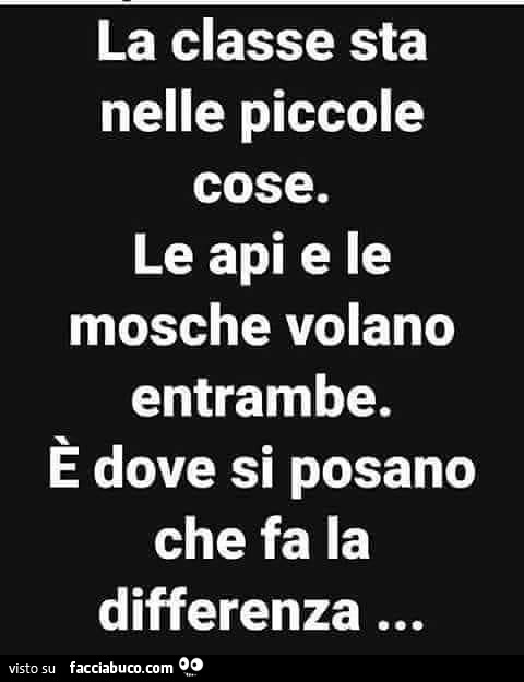 La classe sta nelle piccole cose. Le api e le mosche volano entrambe. È Dove si posano che fa la differenza