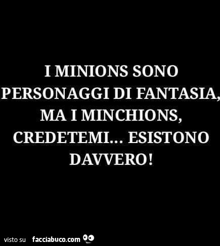 I minions sono personaggi di fantasia, ma i minchions, credetemi, esistono davvero