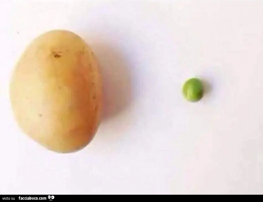 Patata e pisello