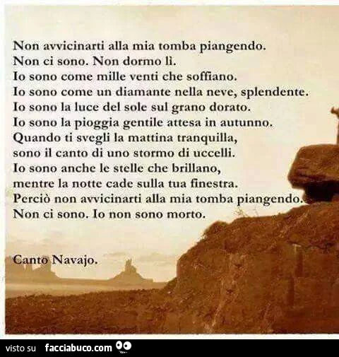 Non avvicinarti alla mia tomba piangendo. Non ci sono. Non dormo li. Io sono come mille venti che soffiano. Io sono come un diamante nella neve, splendente. Io sono la luce del sole sul grano dorato. Io sono la pioggia gentile attesa in autunno