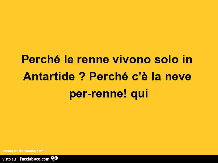 Perché le renne vivono solo in antartide? Perché c'è la neve per-renne! Qui