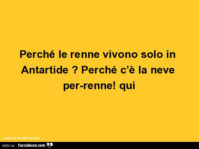 Perché le renne vivono solo in antartide? Perché c'è la neve per-renne! Qui