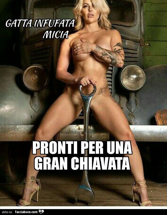 Vaccata