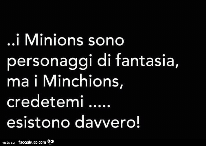 I minions sono personaggi di fantasia, ma i minchions, credetemi esistono davvero