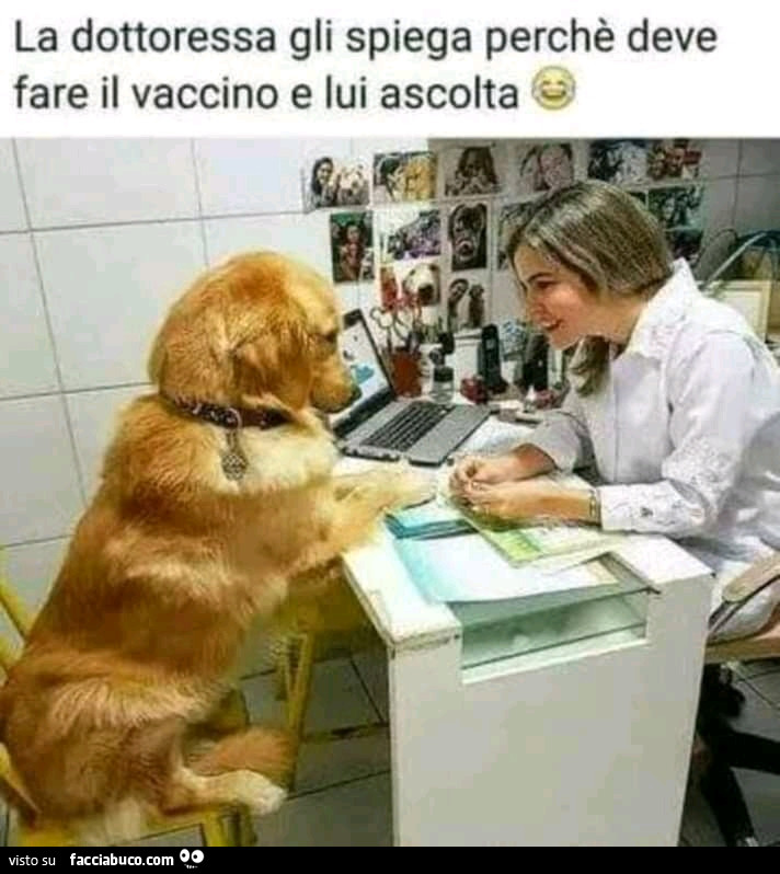 Veterinaria parla con un cane. La dottoressa gli spiega perchè deve fare il vaccino e lui ascolta