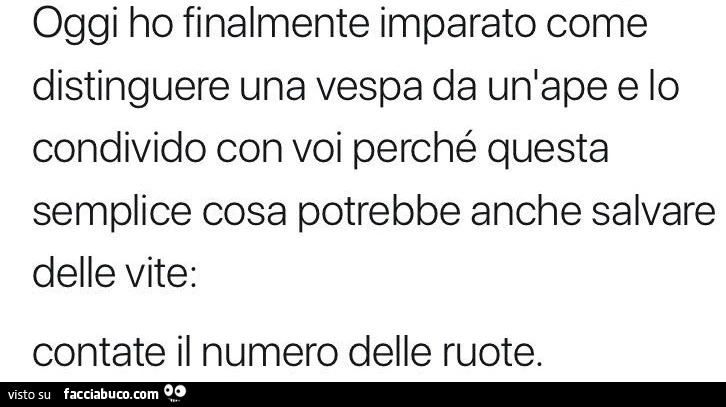 Oggi ho finalmente imparato come distinguere una vespa da un'ape e lo condivido con voi perché questa semplice cosa potrebbe anche salvare delle vite: contate il numero delle ruote