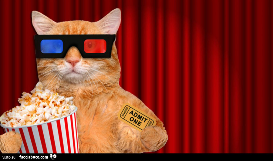 Gatto con gli occhialini 3D al cinema