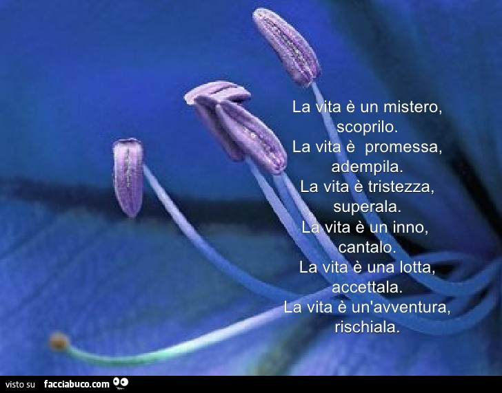 La vita è un mistero, scoprilo. La vita è promessa, adempila. La vita è tristezza, superala. La vita è un inno, cantalo