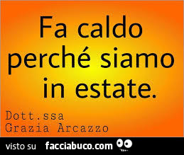 Fa caldo perchè siamo in estate. Dottoressa Grazia Arcazzo