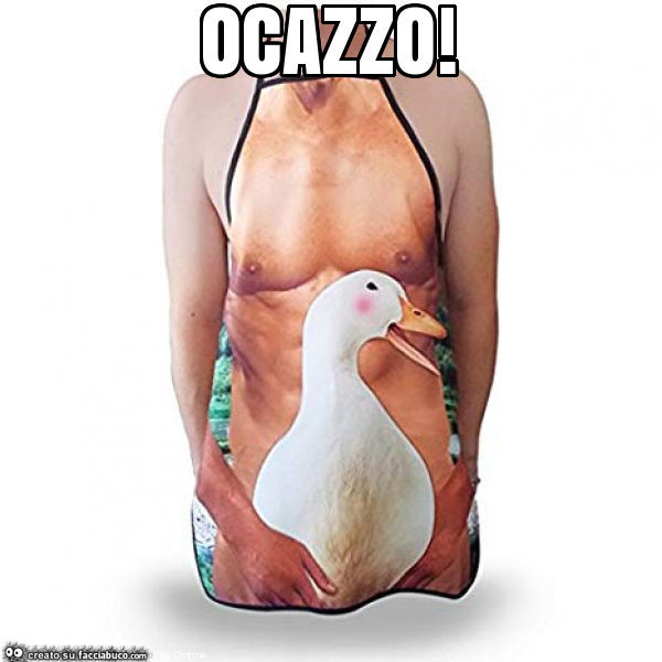 Ocazzo