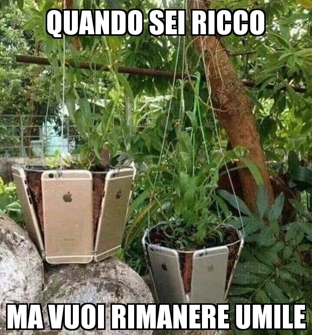 Iphone, apple, piante, vasi, giardino, ricco, umile