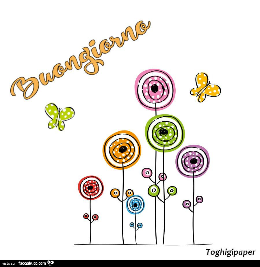 Fiori e farfalle colorati. Buongiorno