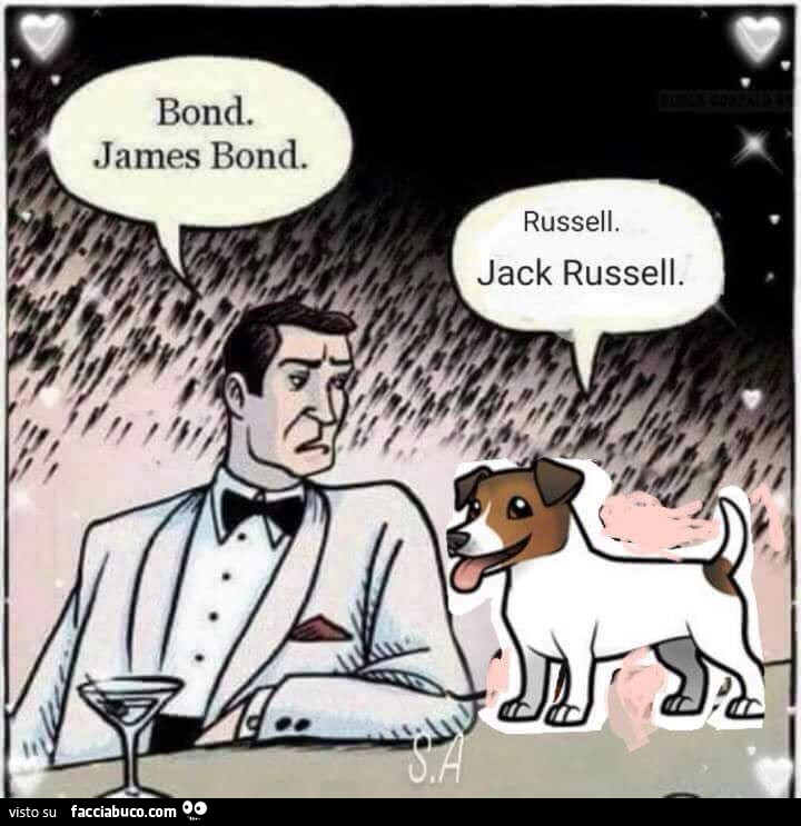 Bond. James Bond. Russell. Jack Russell