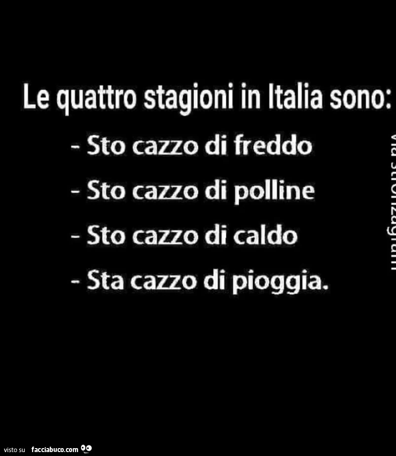 Le quattro stagioni in italia sono: sto cazzo di freddo, sto cazzo di polline, sto cazzo di caldo, sta cazzo di pioggia