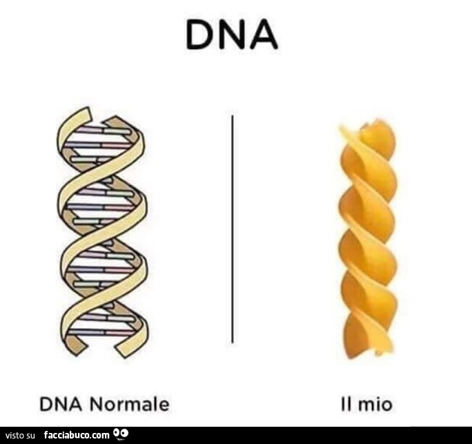DNA. Dna normale. Il mio