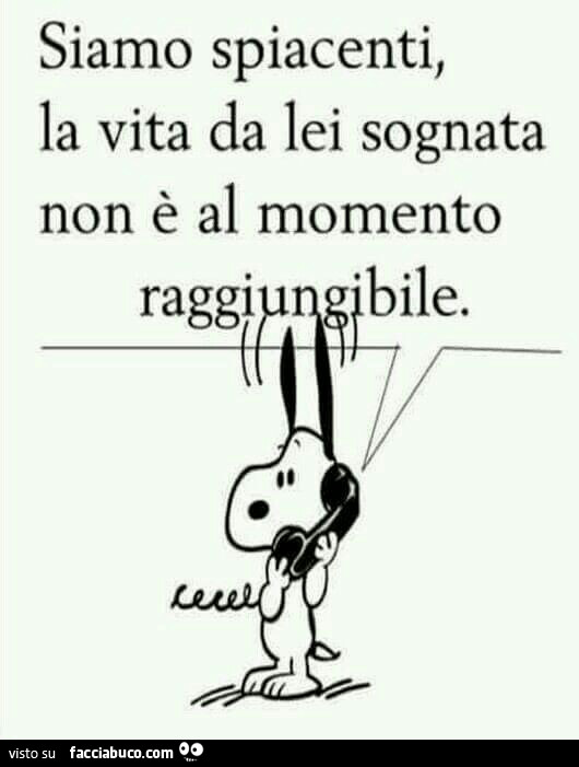 Siamo spiacenti, la vita da lei sognata non è al momento raggiungibile