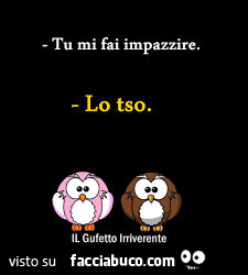 Tu mi fai impazzire. Lo tso