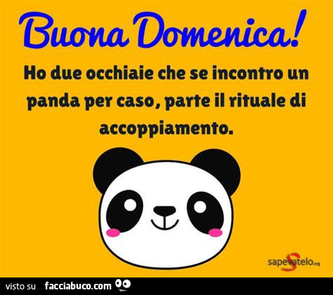 Buona domenica! Ho due occhiaie che se incontro un panda per caso, parte il rituale di accoppiamento
