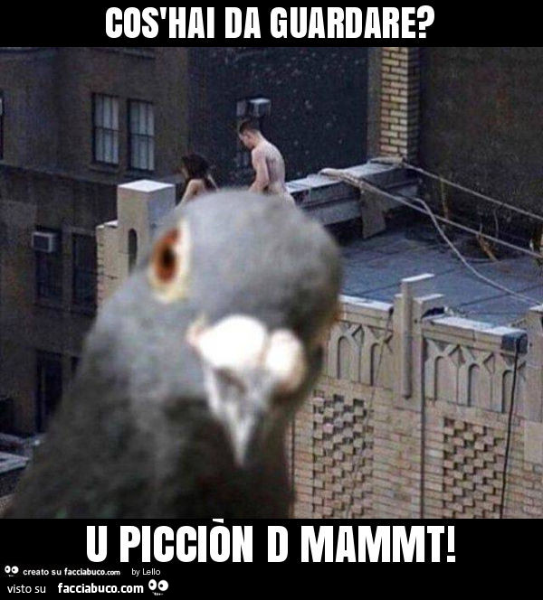Cos'hai da guardare? U picciòn d mammt