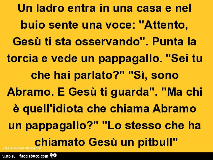 Un ladro entra in una casa e nel buio sente una voce: attento, gesù ti sta osservando. Punta la torcia e vede un pappagallo. Sei tu che hai parlato? Si, sono abramo. E gesù ti guarda. Ma chi è quell'idiota che chiama abramo un pappagallo? Lo stesso c