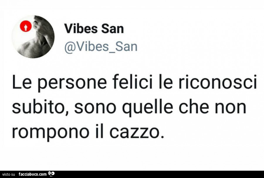 Le persone felici le riconosci subito, sono quelle che non rompono il cazzo