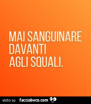 Mai sanguinare davanti agli squali