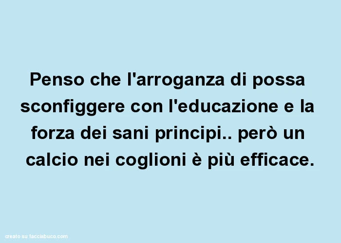 Penso che l'arroganza di possa sconfiggere con l'educazione e la forza dei sani principi. Però un calcio nei coglioni è più efficace