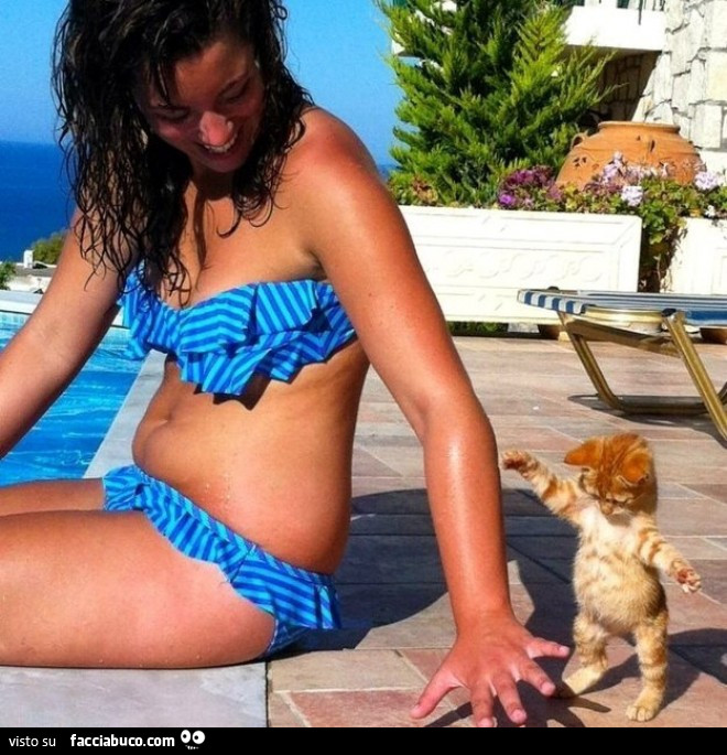 Gattino in piedi che gioca con la mano della ragazza in bikini