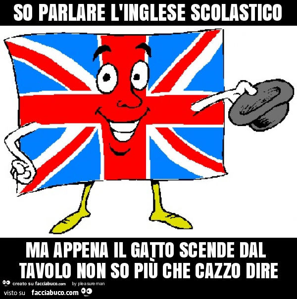 So parlare l'inglese scolastico ma appena il gatto scende dal tavolo non so più che cazzo dire