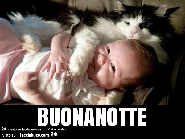 Buonanotte
