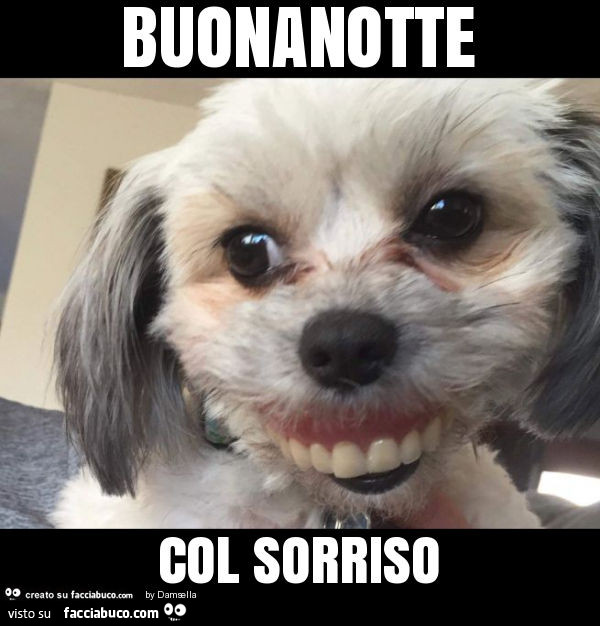 Buonanotte Col Sorriso Facciabuco Com