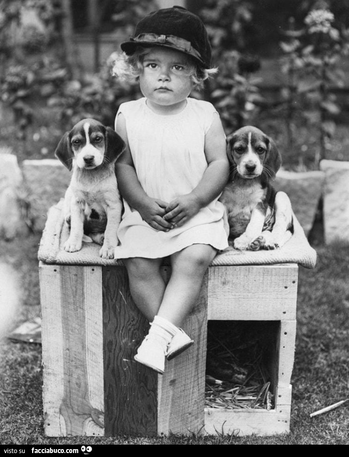 Foto Vintage Di Bambina Con Cagnolini Facciabuco Com