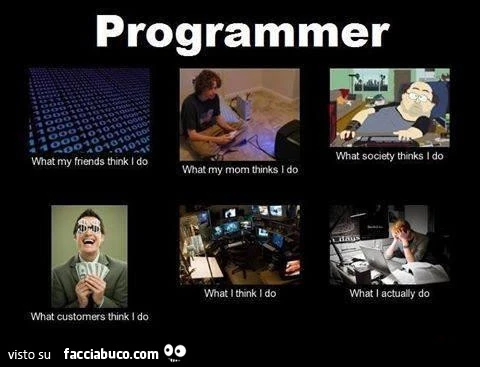 Programmer