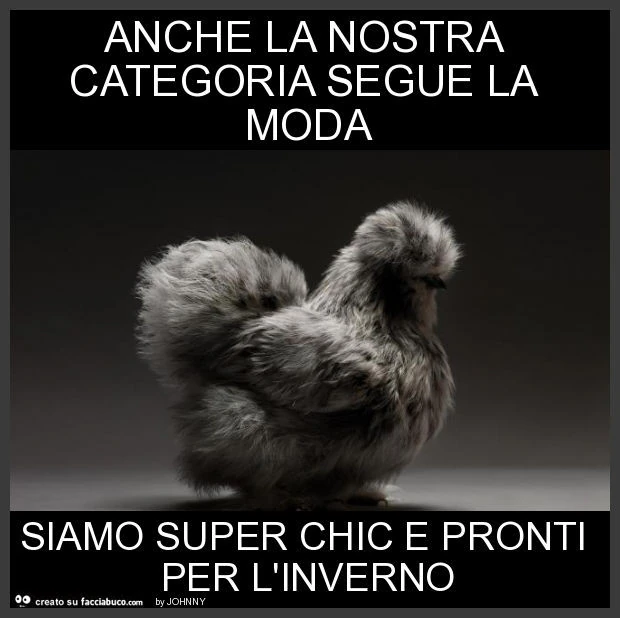 Anche la nostra categoria segue la moda siamo super chic e pronti per l'inverno
