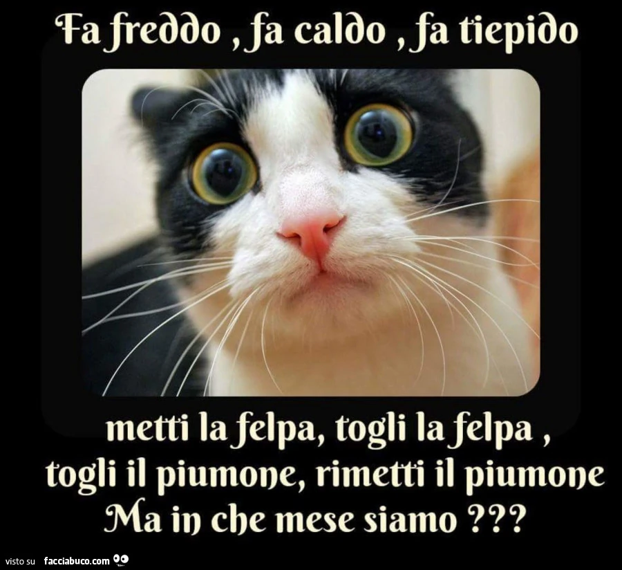 Fa freddo, fa caldo, fa tiepido. Metti la felpa, togli la felpa, togli il piumone, rimetti il piumone ma in che mese siamo?