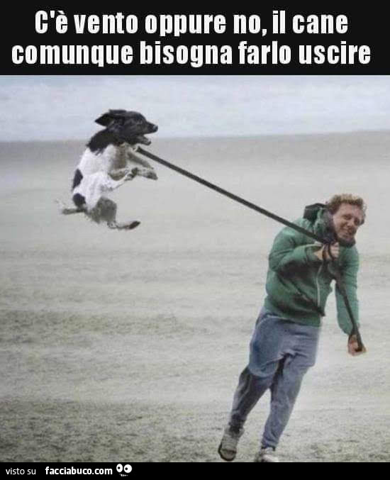 C'è vento oppure no, il cane comunque bisogna farlo uscire