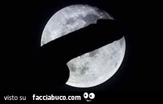 jep9y549fu-eclissi-di-luna-con-il-pene-bella-l-eclissi-di-ieri-sera-ho-ancora-la-foto_a.jpg