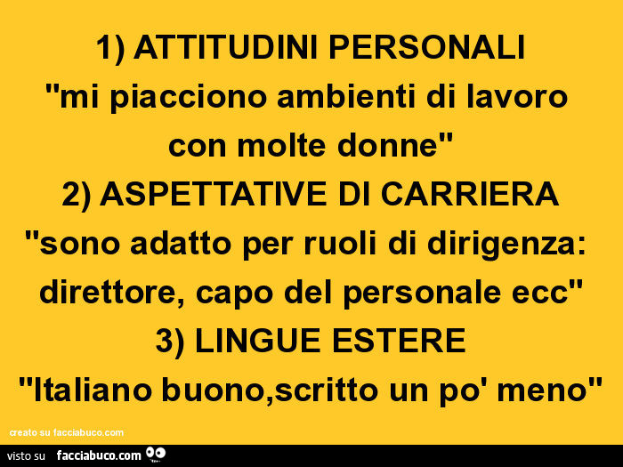 1) attitudini personali "mi piacciono ambienti di lavoro con molte donne" 2) aspettative di carriera "sono adatto per ruoli di dirigenza: direttore, capo del personale ecc" 3) lingue estere "italiano buono, scritto un po' men