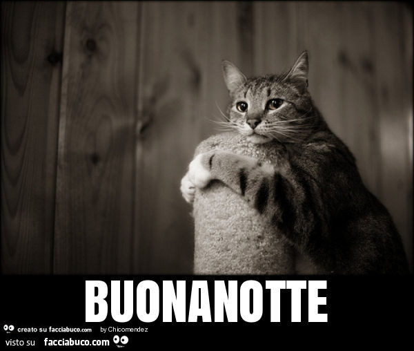 Buonanotte
