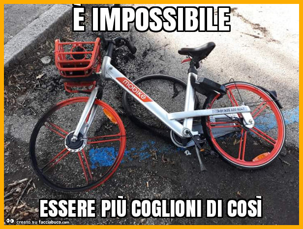 È impossibile essere più coglioni di così