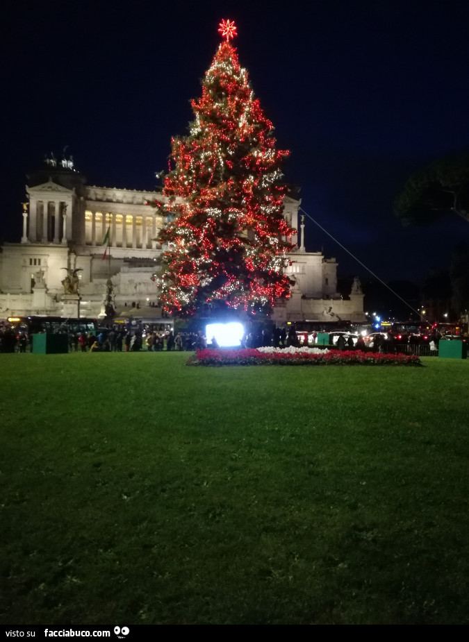 Albero di natale a Roma